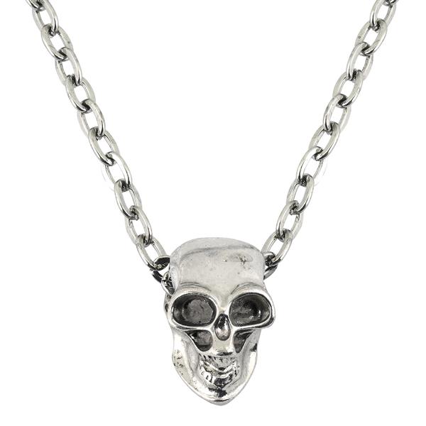 Grote foto halloween ketting zilver schedel verzamelen overige verzamelingen