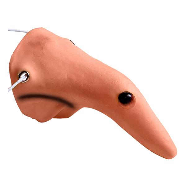 Grote foto halloween nep neus beige heks verzamelen overige verzamelingen