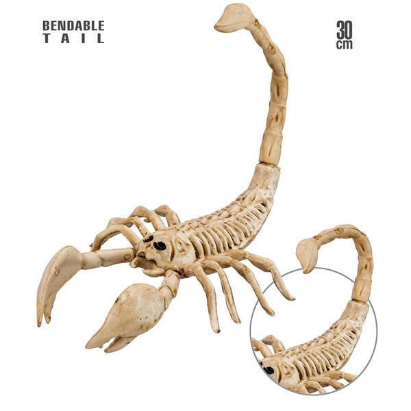 Grote foto halloween skelet schorpioen 30cm verzamelen overige verzamelingen