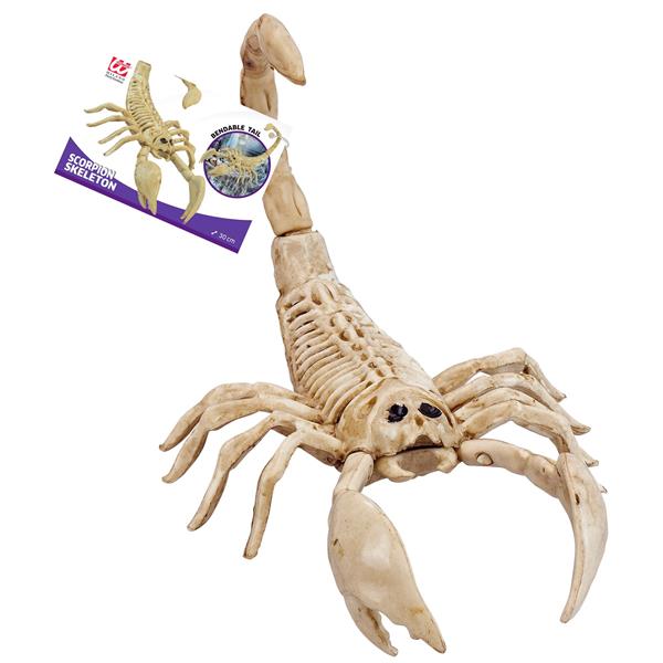 Grote foto halloween skelet schorpioen 30cm verzamelen overige verzamelingen