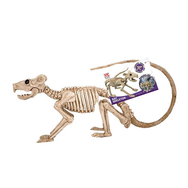 Grote foto halloween skelet rat 40cm verzamelen overige verzamelingen