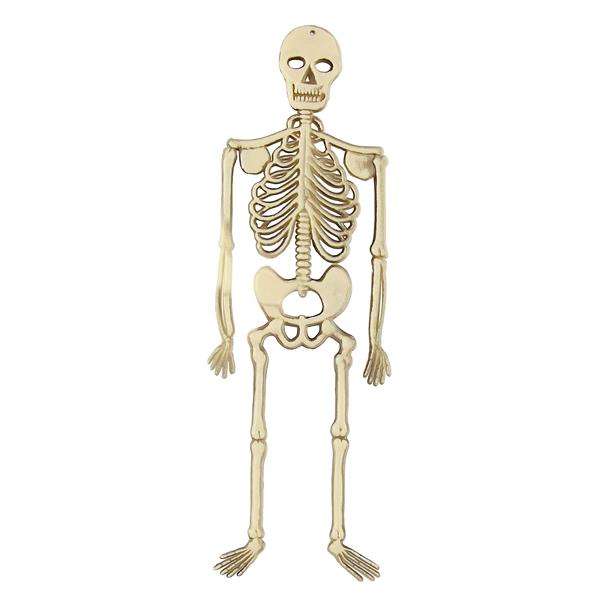Grote foto halloween skelet 32cm verzamelen overige verzamelingen