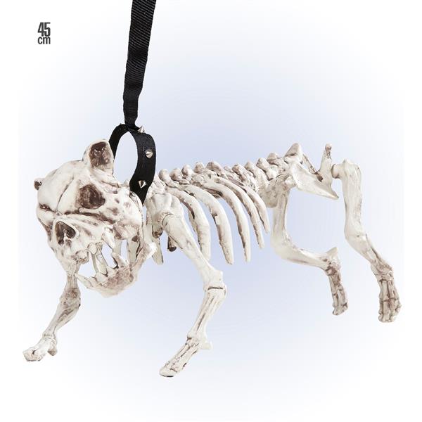 Grote foto halloween skelet hond met riem 45cm verzamelen overige verzamelingen