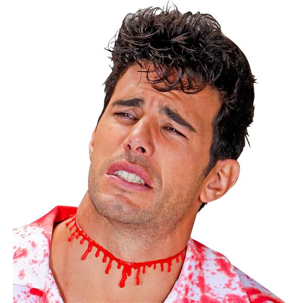Grote foto halloween ketting bloeddruppels verzamelen overige verzamelingen