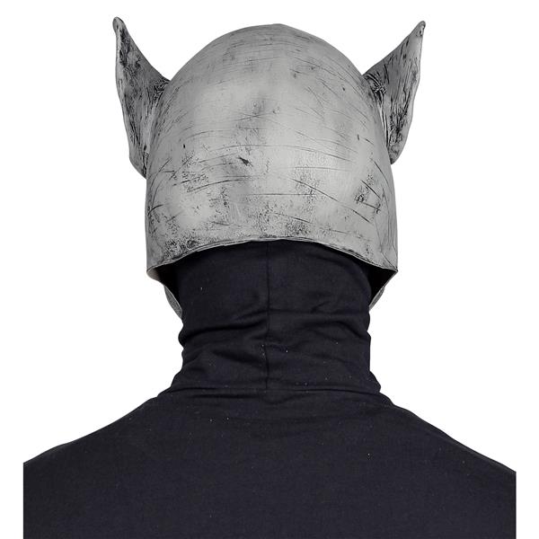 Grote foto halloween masker grijs weerwolf horror verzamelen overige verzamelingen