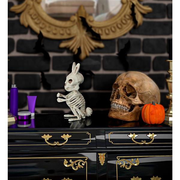 Grote foto halloween skelet konijn 16cm verzamelen overige verzamelingen