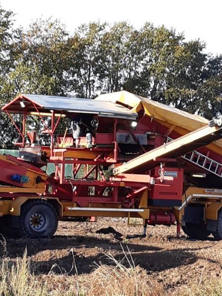 Grote foto spinnekop combine stortbunker met reiniger inspectietransportband en lift agrarisch kisten
