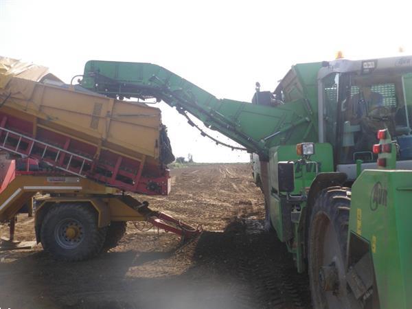 Grote foto spinnekop combine stortbunker met reiniger inspectietransportband en lift agrarisch kisten