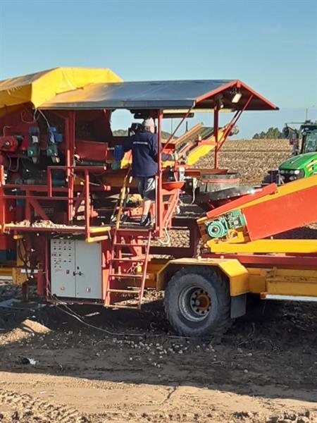 Grote foto spinnekop combine stortbunker met reiniger inspectietransportband en lift agrarisch kisten