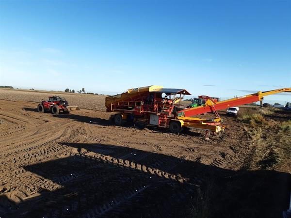 Grote foto spinnekop combine stortbunker met reiniger inspectietransportband en lift agrarisch kisten