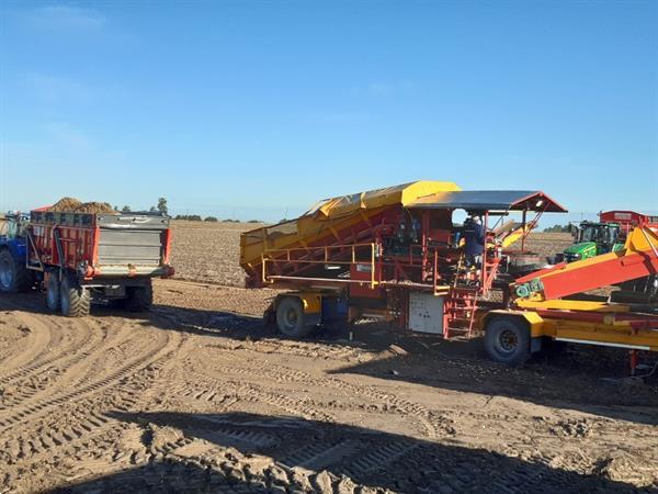 Grote foto spinnekop combine stortbunker met reiniger inspectietransportband en lift agrarisch kisten