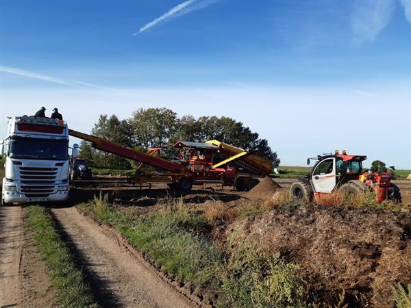 Grote foto spinnekop combine stortbunker met reiniger inspectietransportband en lift agrarisch kisten