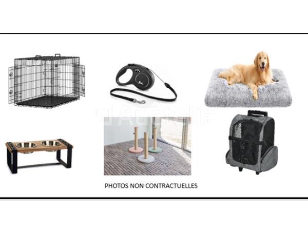 Grote foto pallet voor nieuwe dieren honden katten ... doe het zelf en verbouw gereedschappen en machines