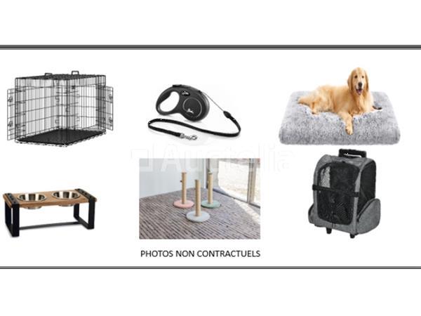 Grote foto pallet voor nieuwe dieren honden katten ... doe het zelf en verbouw gereedschappen en machines