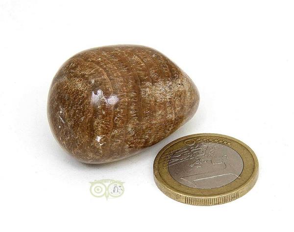 Grote foto aragoniet knuffelsteen nr 10 30 gram verzamelen overige verzamelingen