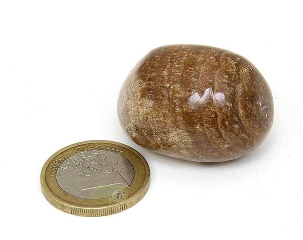 Grote foto aragoniet knuffelsteen nr 10 30 gram verzamelen overige verzamelingen