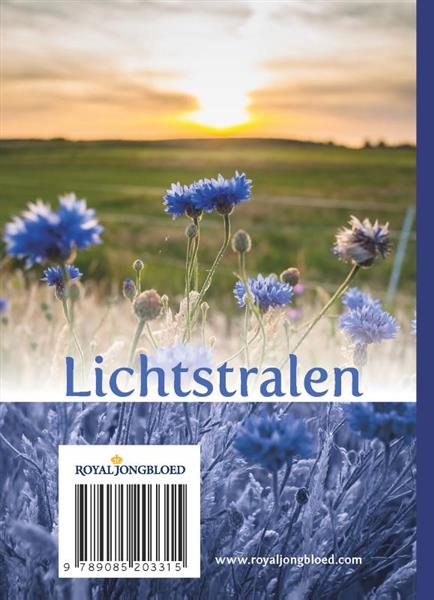 Grote foto lichtstralen uit het woord 2021 boeken overige boeken