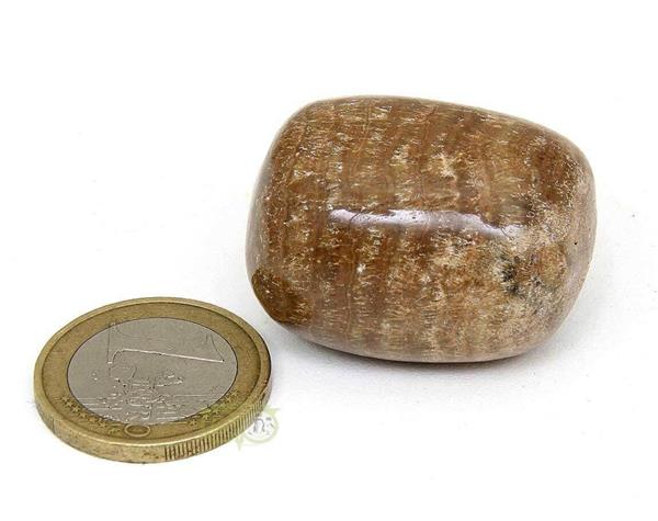 Grote foto aragoniet knuffelsteen nr 6 33 gram verzamelen overige verzamelingen