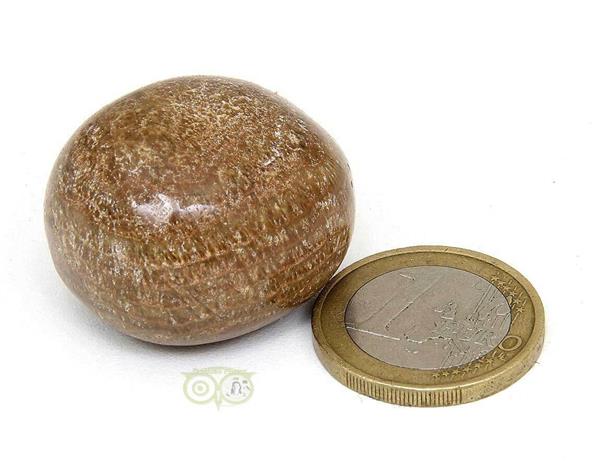 Grote foto aragoniet knuffelsteen nr 4 29 gram verzamelen overige verzamelingen