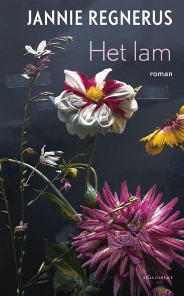 Grote foto het lam boeken overige boeken