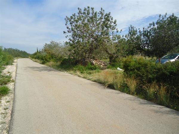 Grote foto terrein in spanje 8.0254 m2 diversen overige