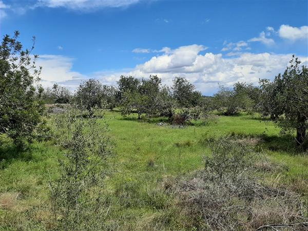 Grote foto terrein in spanje 8.0254 m2 diversen overige