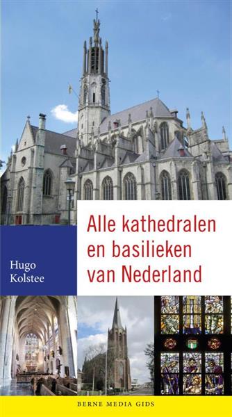 Grote foto alle kathedralen en basilieken van nederland boeken overige boeken