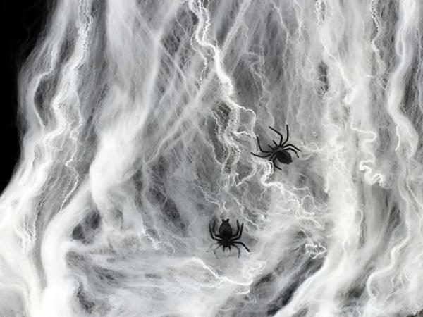 Grote foto spinnenweb wit met 4 spinnetjes halloween decoratie verzamelen overige verzamelingen
