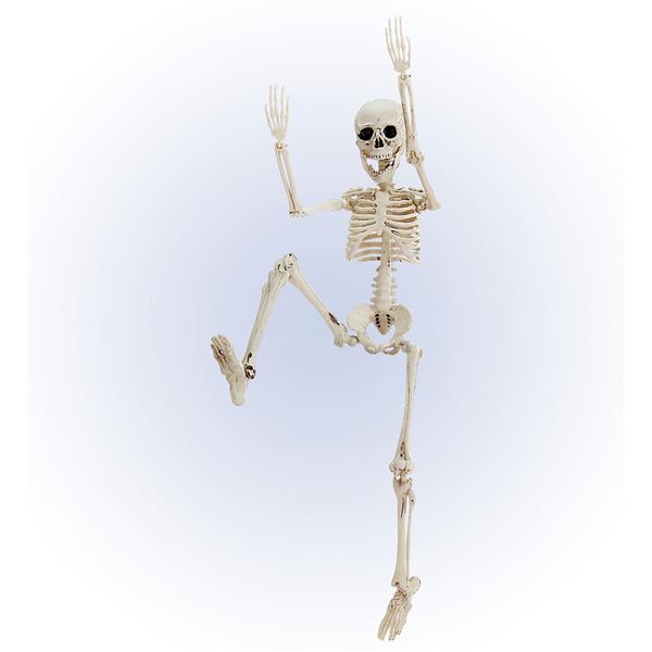 Grote foto halloween skelet wit 50cm verzamelen overige verzamelingen