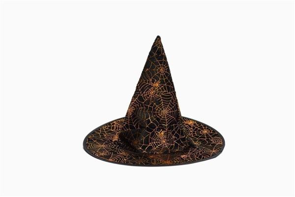 Grote foto halloween heksenhoed zwart spinnenweb verzamelen overige verzamelingen