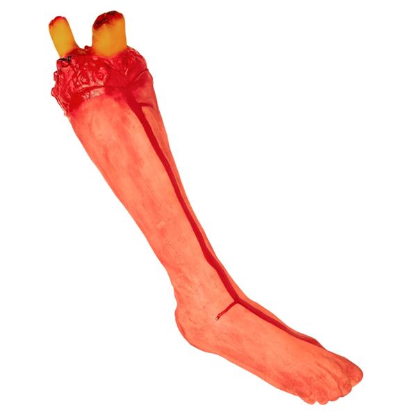 Grote foto halloween nep been verzamelen overige verzamelingen