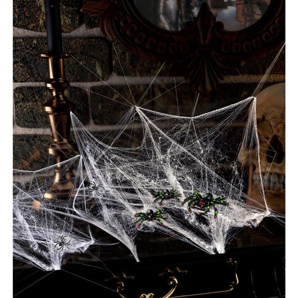 Grote foto halloween spinnenweb met spinnen verzamelen overige verzamelingen