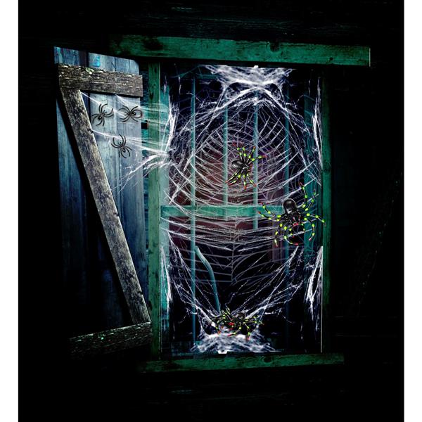 Grote foto halloween spinnenweb met spinnen verzamelen overige verzamelingen