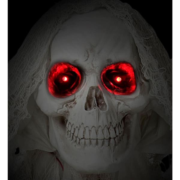 Grote foto halloween pop magere hein 2 4m verzamelen overige verzamelingen