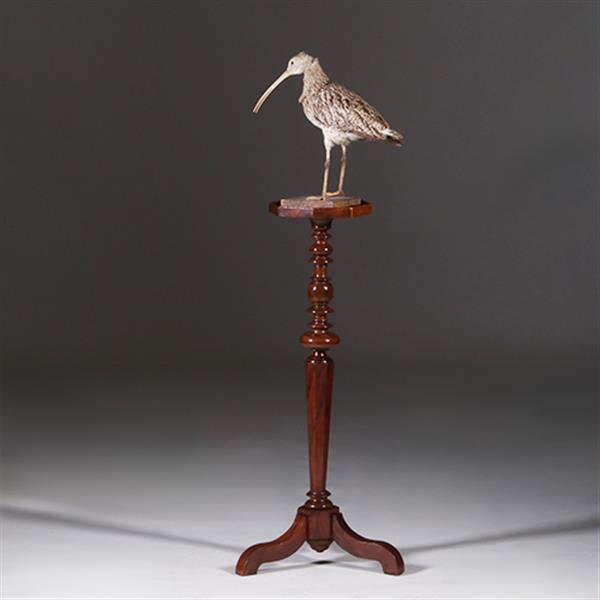 Grote foto gueridon of lampentafel ca 1735 notenhout fraaie patina no.311410 antiek en kunst stoelen en banken