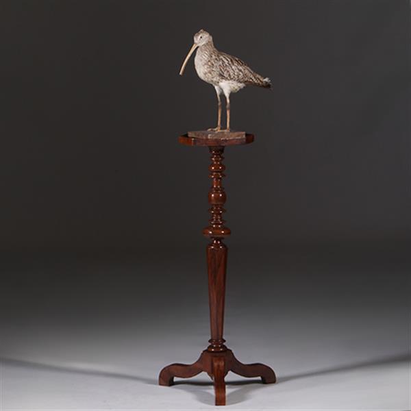 Grote foto gueridon of lampentafel ca 1735 notenhout fraaie patina no.311410 antiek en kunst stoelen en banken
