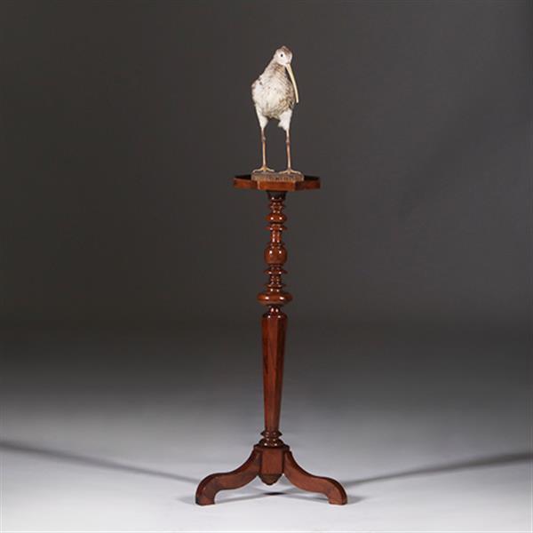 Grote foto gueridon of lampentafel ca 1735 notenhout fraaie patina no.311410 antiek en kunst stoelen en banken