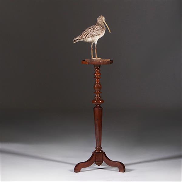 Grote foto gueridon of lampentafel ca 1735 notenhout fraaie patina no.311410 antiek en kunst stoelen en banken