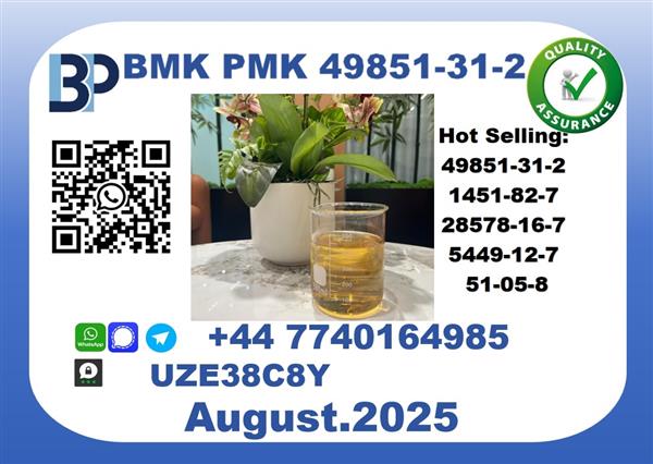 Grote foto cas 49851 31 2 bmk pmk certified factory supply antiek en kunst archeologie