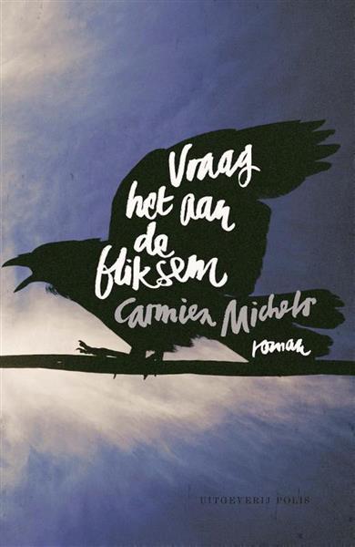 Grote foto vraag het aan de bliksem boeken overige boeken