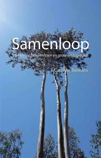 Grote foto samenloop boeken literatuur