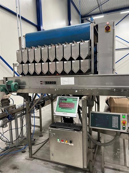 Grote foto manter vp10000 afweegmachine met aweta opvoerband voor cherry tomaten agrarisch tuinbouw