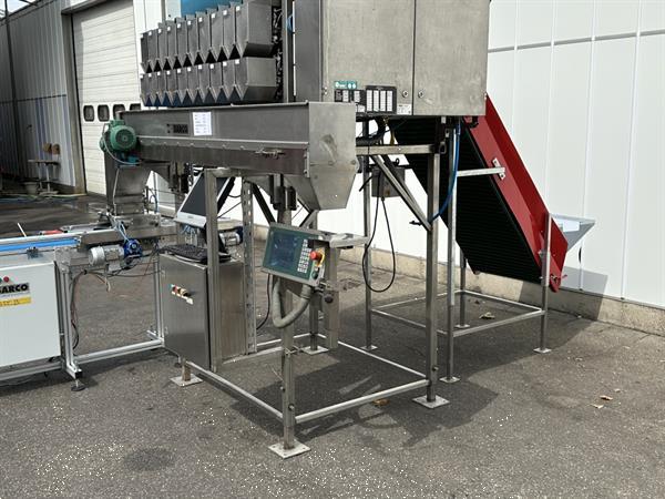 Grote foto manter vp10000 afweegmachine met aweta opvoerband voor cherry tomaten en doosjes vuller agrarisch tuinbouw