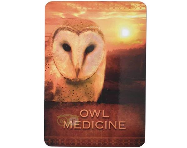 Grote foto native spirit oracle cards denise linn engelstalig boeken overige boeken
