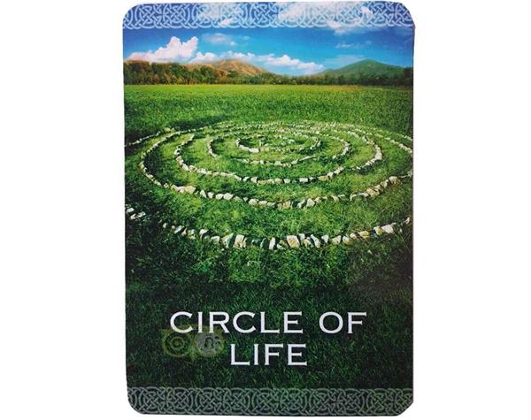 Grote foto native spirit oracle cards denise linn engelstalig boeken overige boeken
