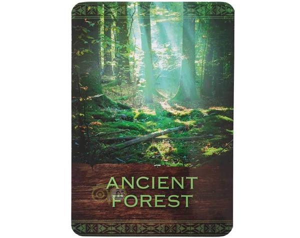 Grote foto native spirit oracle cards denise linn engelstalig boeken overige boeken