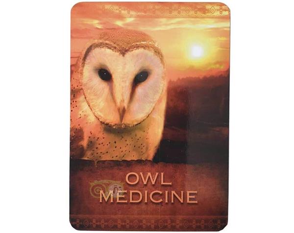 Grote foto native spirit oracle cards denise linn engelstalig boeken overige boeken