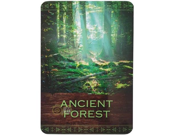 Grote foto native spirit oracle cards denise linn engelstalig boeken overige boeken