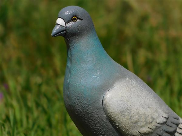 Grote foto beeld van een duif vol gietijzer gedetailleerd tuin en terras tuindecoratie