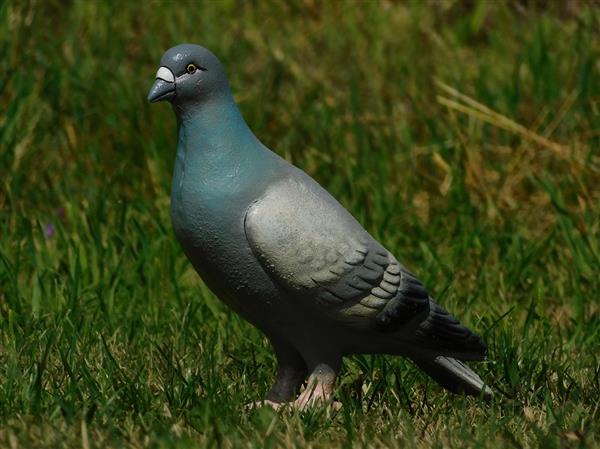 Grote foto beeld van een duif vol gietijzer gedetailleerd tuin en terras tuindecoratie